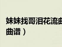 妹妹找哥泪花流曲谱完整版（妹妹找哥泪花流曲谱）
