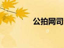 公拍网司法拍卖（公拍网）