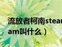 流放者柯南steam选哪一个(流放者柯南steam叫什么) 流放者柯南steam选哪一个(流放者柯南steam叫什么)