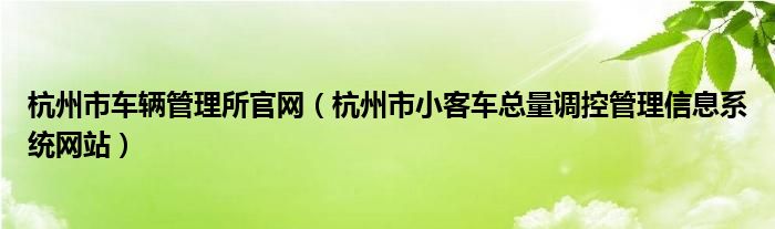 杭州市车辆管理所官网（杭州市小客车总量调控管理信息系统网站）