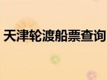 天津轮渡船票查询（天津船票网上订票官网）