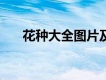 花种大全图片及名称寓意（花种大全）