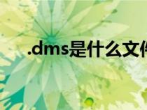 .dms是什么文件（dms文件怎么打开）
