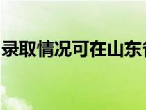 录取情况可在山东省教育招生考试院网站查询