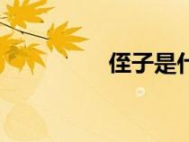 侄子是什么意思（侄子）