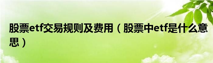 股票etf交易规则及费用（股票中etf是什么意思） 