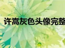 许嵩灰色头像完整（许嵩 灰色头像 的歌词）