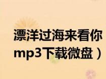 漂洋过海来看你 mp3下载(漂洋过海来看你mp3下载微盘) 漂洋过海来看你 mp3下载(漂洋过海来看你mp3下载微盘)