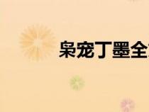 枭宠丁墨全文阅读（枭宠丁墨）