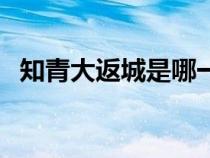 知青大返城是哪一年（知青下乡是哪一年）