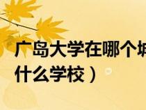 广岛大学在哪个城市（广岛大学相当于中国的什么学校）
