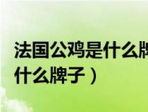 法国公鸡是什么牌子中国叫什么（法国公鸡是什么牌子）