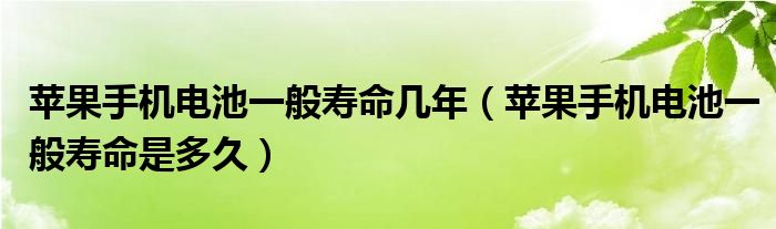 苹果手机电池一般寿命几年（苹果手机电池一般寿命是多久）