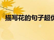 描写花的句子超优美简短（描写花的句子）