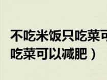 不吃米饭只吃菜可以减肥吗女生(不吃米饭只吃菜可以减肥) 不吃米饭只吃菜可以减肥吗女生(不吃米饭只吃菜可以减肥)