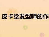 皮卡堂发型师的作用（皮卡堂发型卷怎么用）