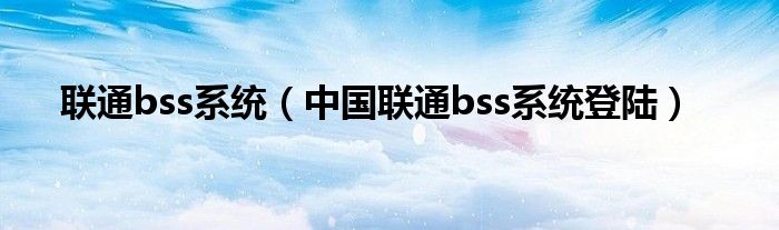 联通bss零星（中国联通bss零星上岸）