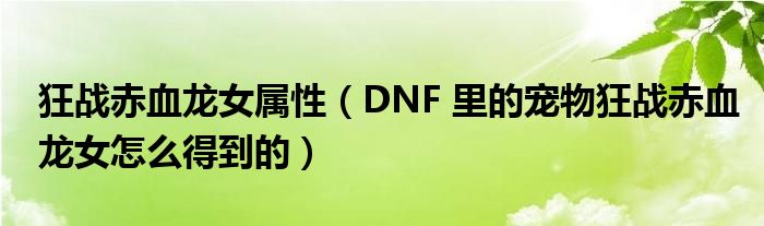 狂战赤血龙女属性（DNF 里的宠物狂战赤血龙女怎么得到的）