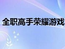 全职高手荣耀游戏（全职高手荣耀电脑游戏）