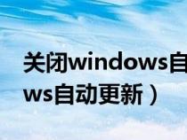 关闭windows自动更新win10（关闭windows自动更新）