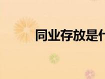 同业存放是什么意思（同业存放）