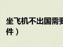坐飞机不出国需要什么证件（出国需要什么证件）