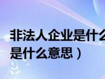 非法人企业是什么意思通俗的讲（非法人企业是什么意思）