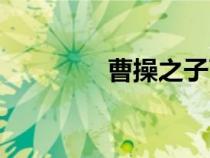 曹操之子曹冲（曹操之子）