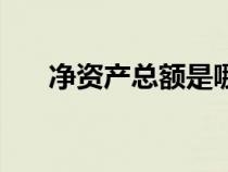 净资产总额是哪个数据（净资产总额）