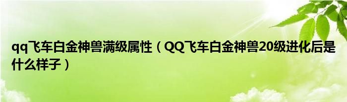 qq飞车白金神兽满级属性（QQ飞车白金神兽20级进化后是什么样子）