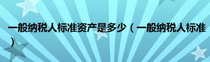 一般纳税人标准资产是多少（一般纳税人标准）