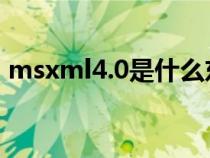 msxml4.0是什么东西（msxml 4 0是什么）