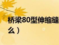 桥梁80型伸缩缝图片（桥梁80型伸缩缝是什么）