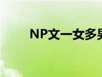 NP文一女多男的（np文一女多男）