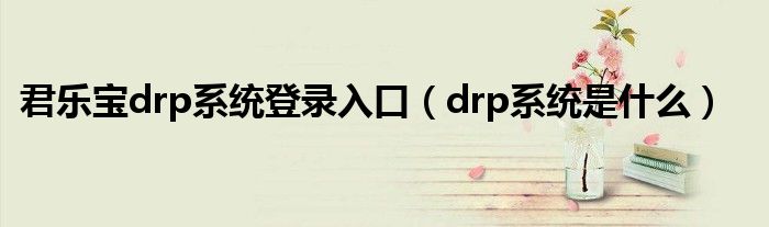 君乐宝drp系统登录入口（drp系统是什么）