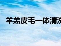 羊羔皮毛一体清洗妙招（羊羔毛怎么清洗）