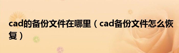 cad的备份文件在哪里（cad备份文件奈何样复原）