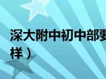 深大附中初中部要考吗（深大附中初中部怎么样）