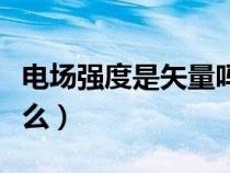 电场强度是矢量吗(电场强度的计算公式是什么) 电场强度是矢量吗(电场强度的计算公式是什么)