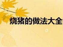 烧猪的做法大全视频广西（烧猪的做法）