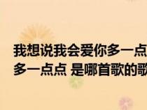 我想说我会爱你多一点点是哪首歌的歌词（我想说我会爱你多一点点 是哪首歌的歌词）