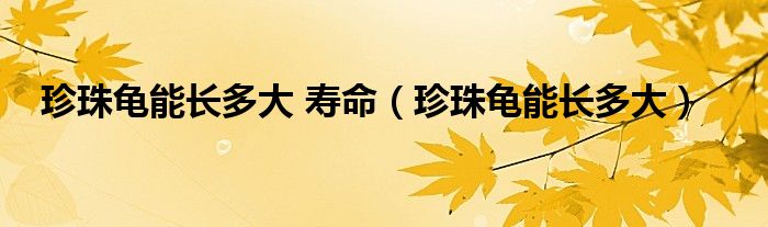 珍珠龟能长多大 寿命（珍珠龟能长多大）
