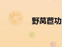 野莴苣功效图片（野莴苣）
