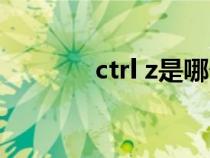 ctrl z是哪个的缩写（ctrl z）