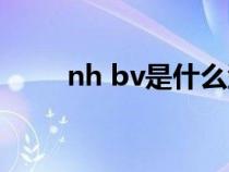 nh bv是什么型号的电缆（nh bv）