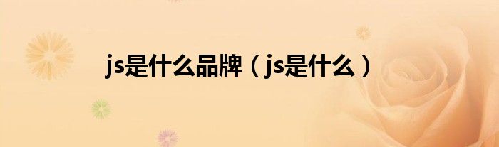 js是什么品牌（js是什么）