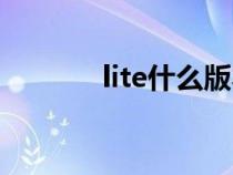 lite什么版本（lite什么意思）