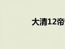 大清12帝姓名（大清12帝）