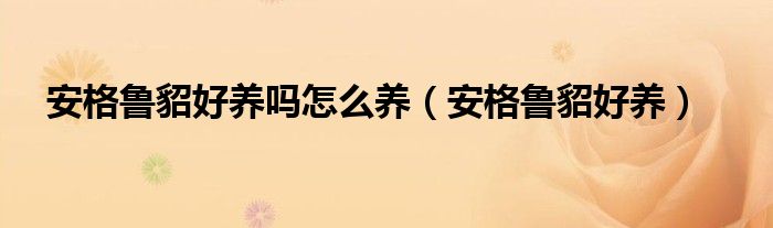 安格鲁貂好养吗怎么养（安格鲁貂好养）