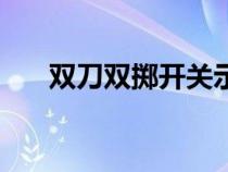 双刀双掷开关示意图（双刀双掷开关）
